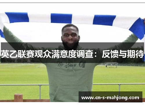 英乙联赛观众满意度调查：反馈与期待