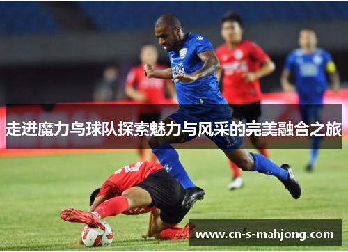 走进魔力鸟球队探索魅力与风采的完美融合之旅