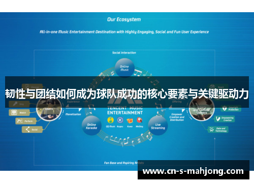 韧性与团结如何成为球队成功的核心要素与关键驱动力